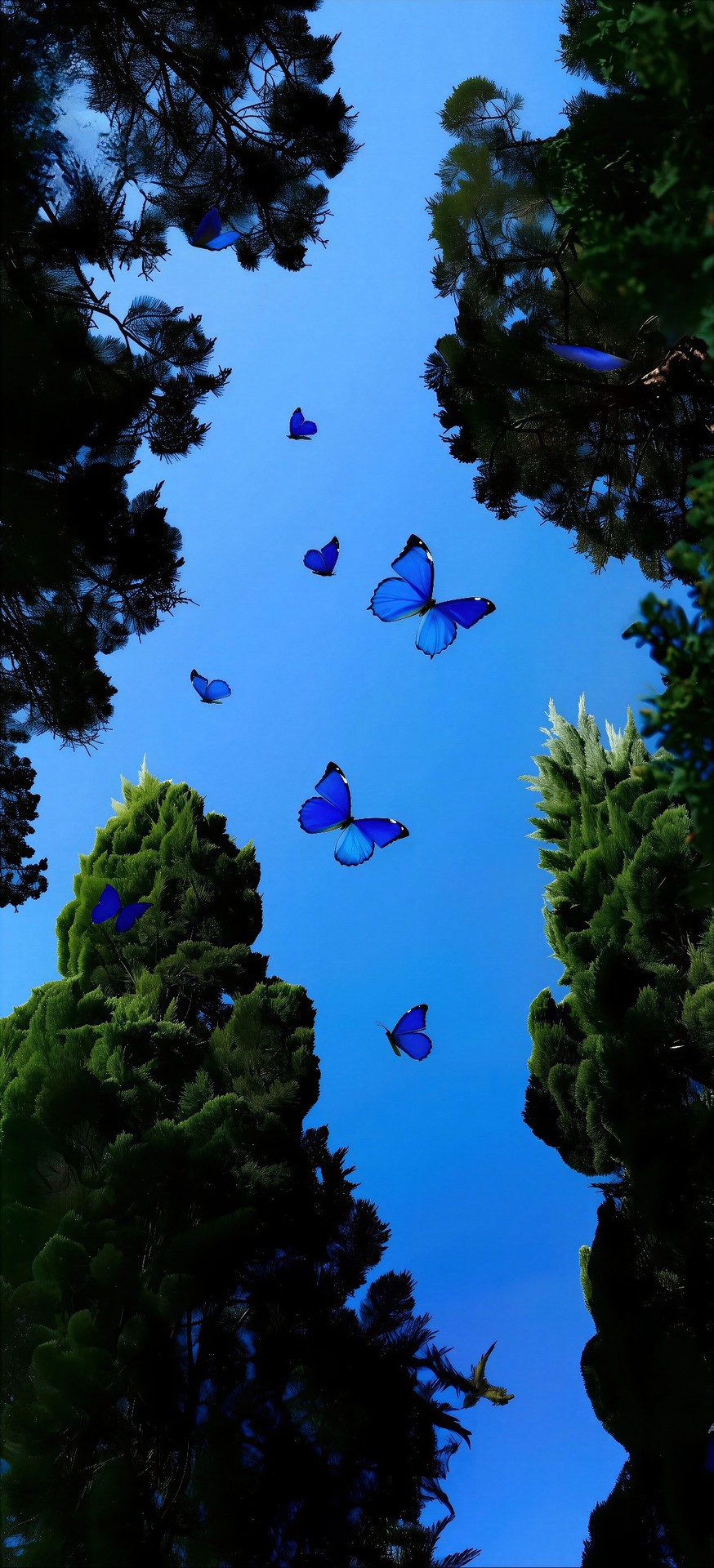 ταπετσαρίες pollinator, wing
