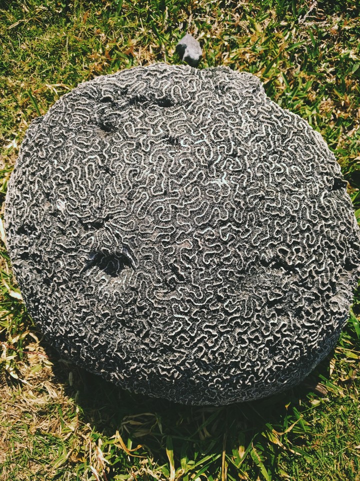 stone
