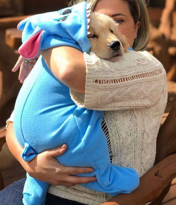 baby dog