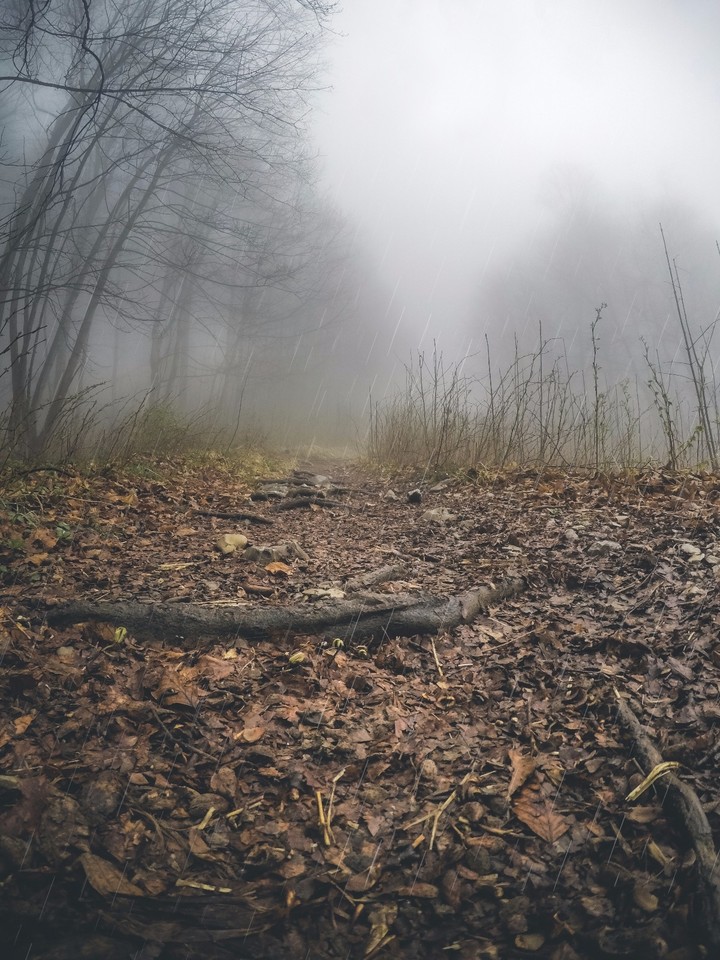 Trekking