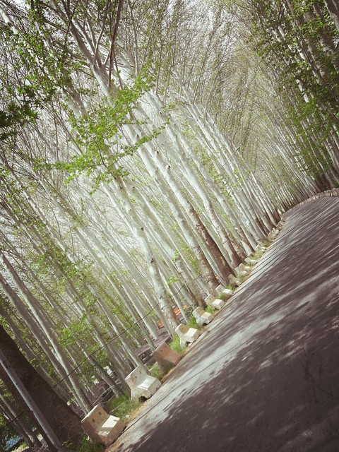 Nature