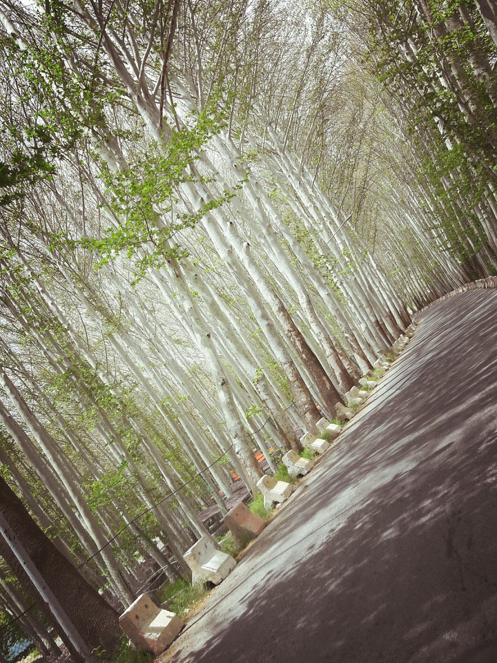 Nature