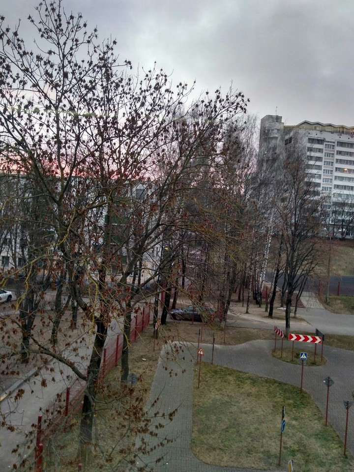 my school