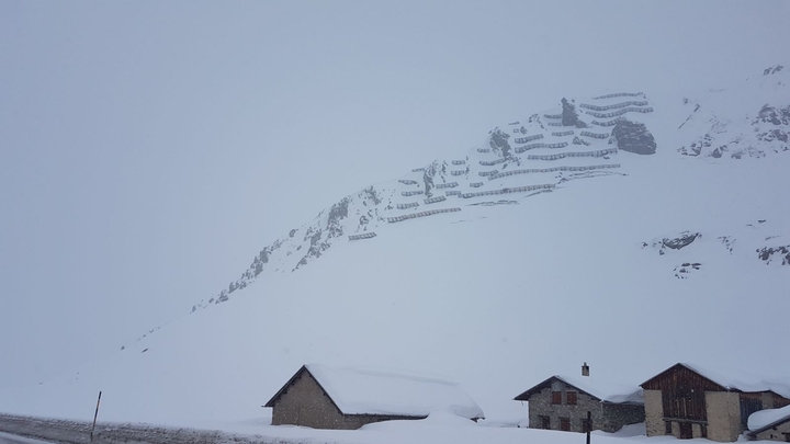 Zima