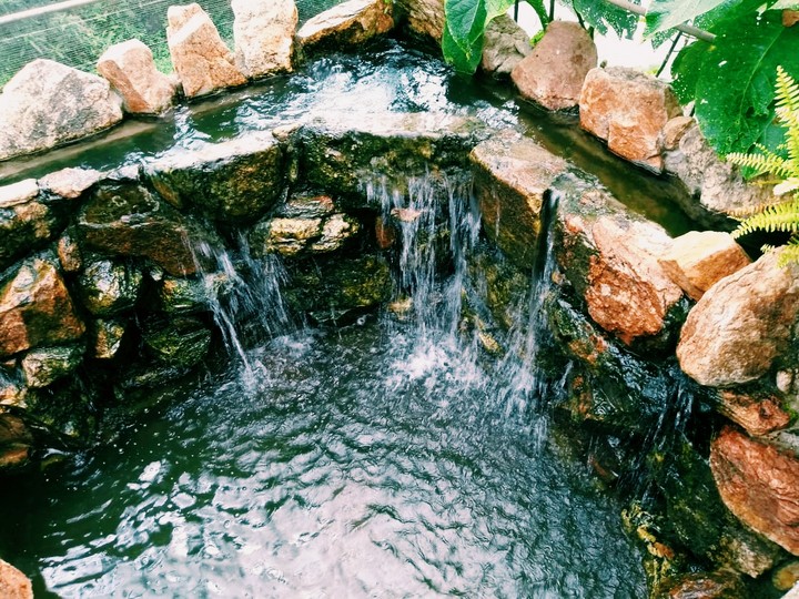 water