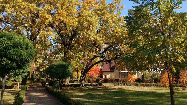 autumn park