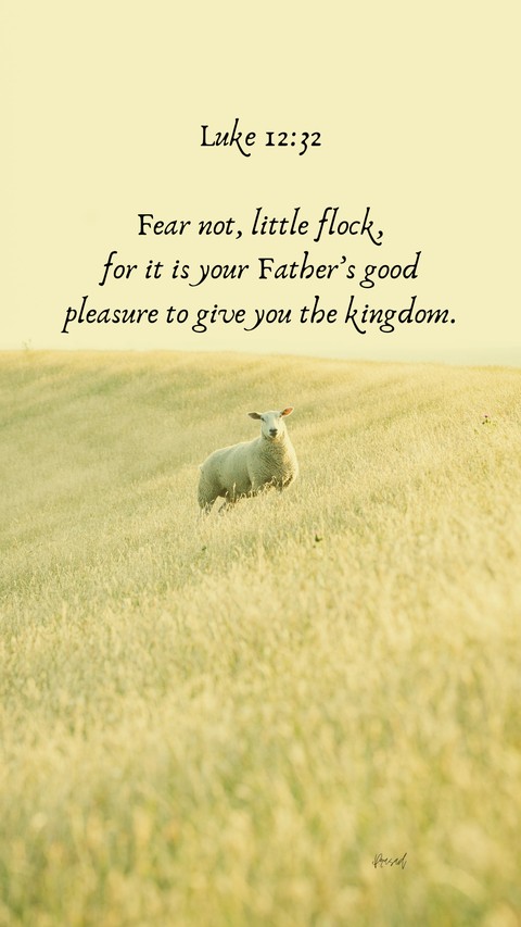 Little Flock