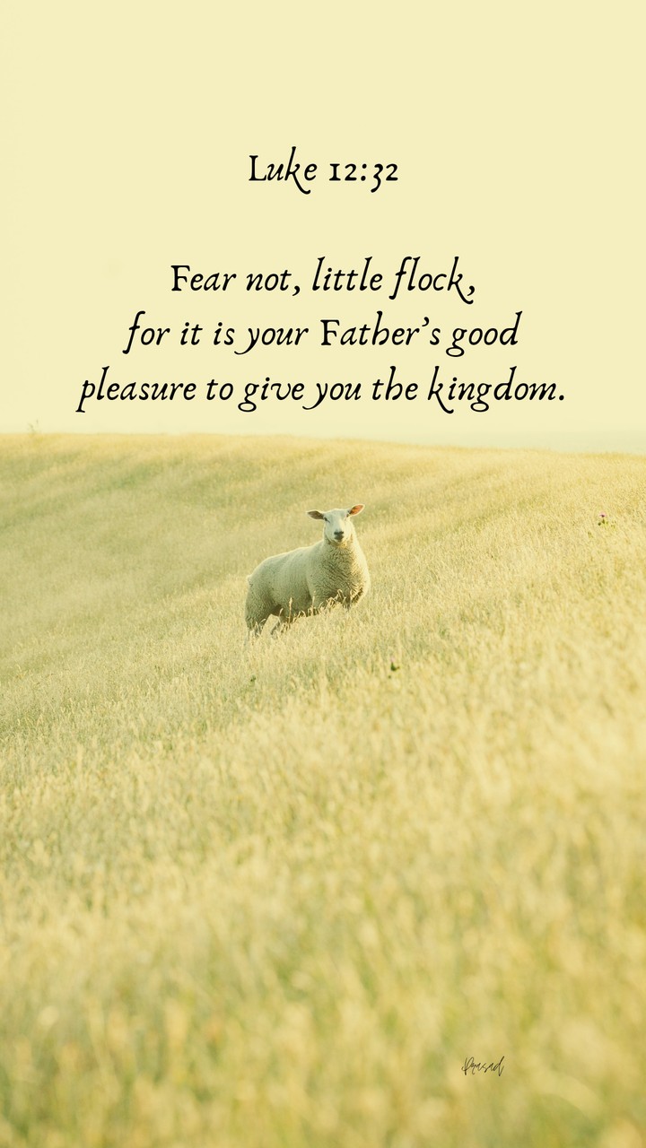 Little Flock
