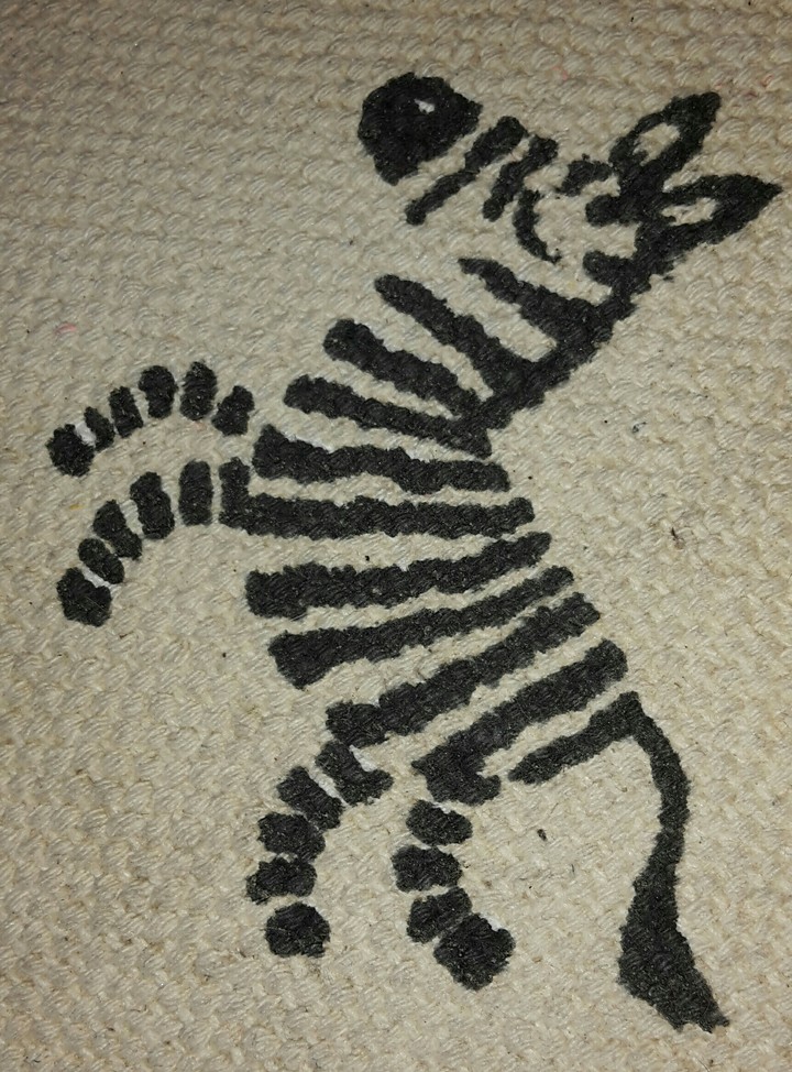 Little Zebra on its Hind Legs