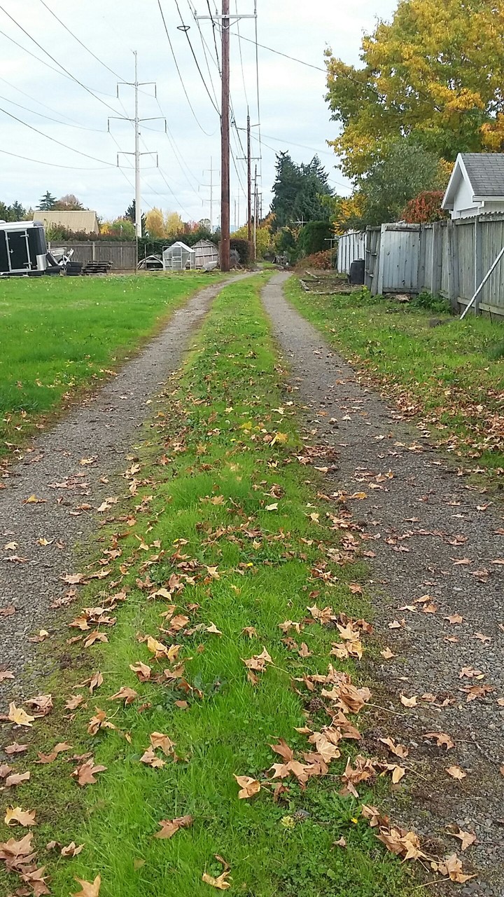 Alley to Where?