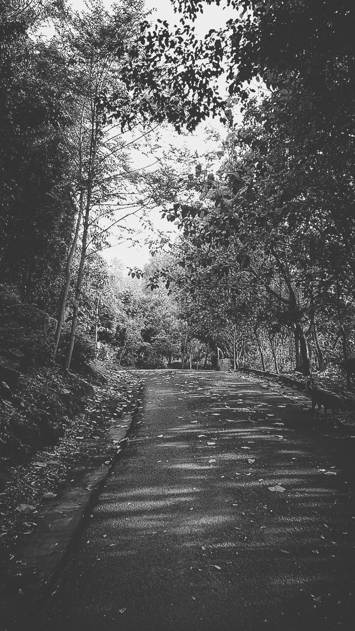 Wander into the nature
