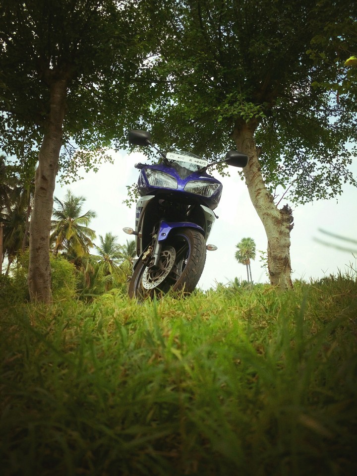 R15 Bikers Pride