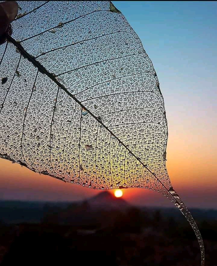 sun