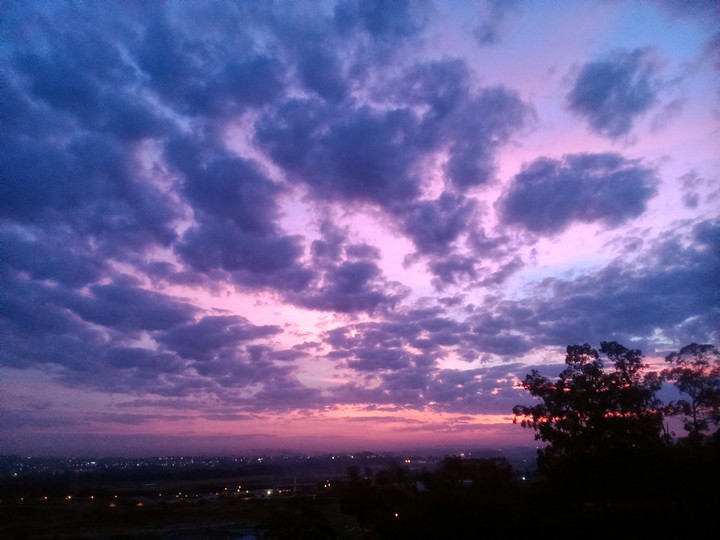 tarde linda sp
