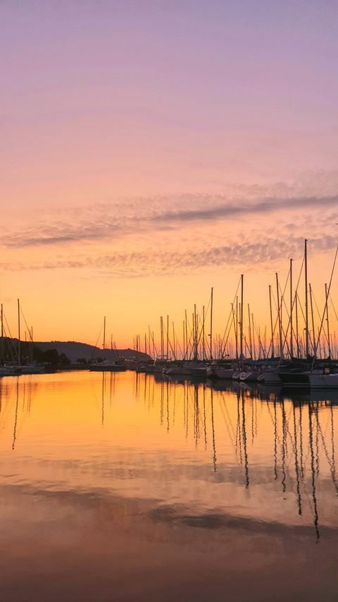 Port