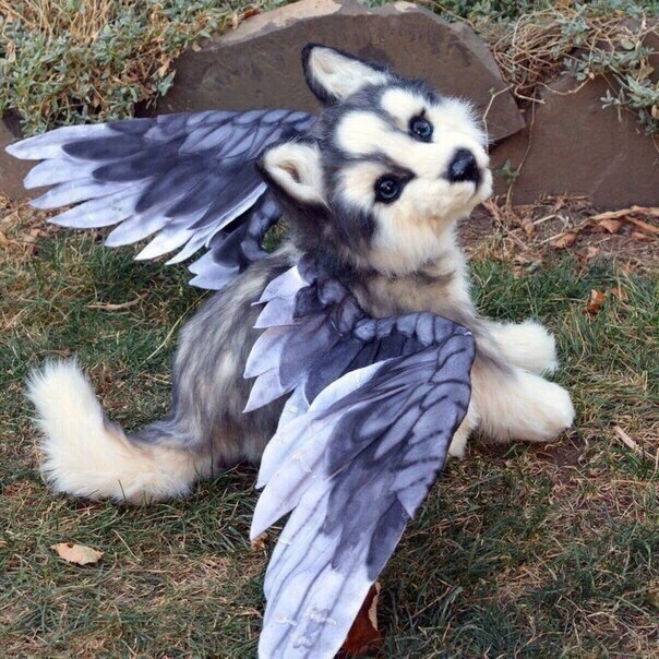 anime cosplay