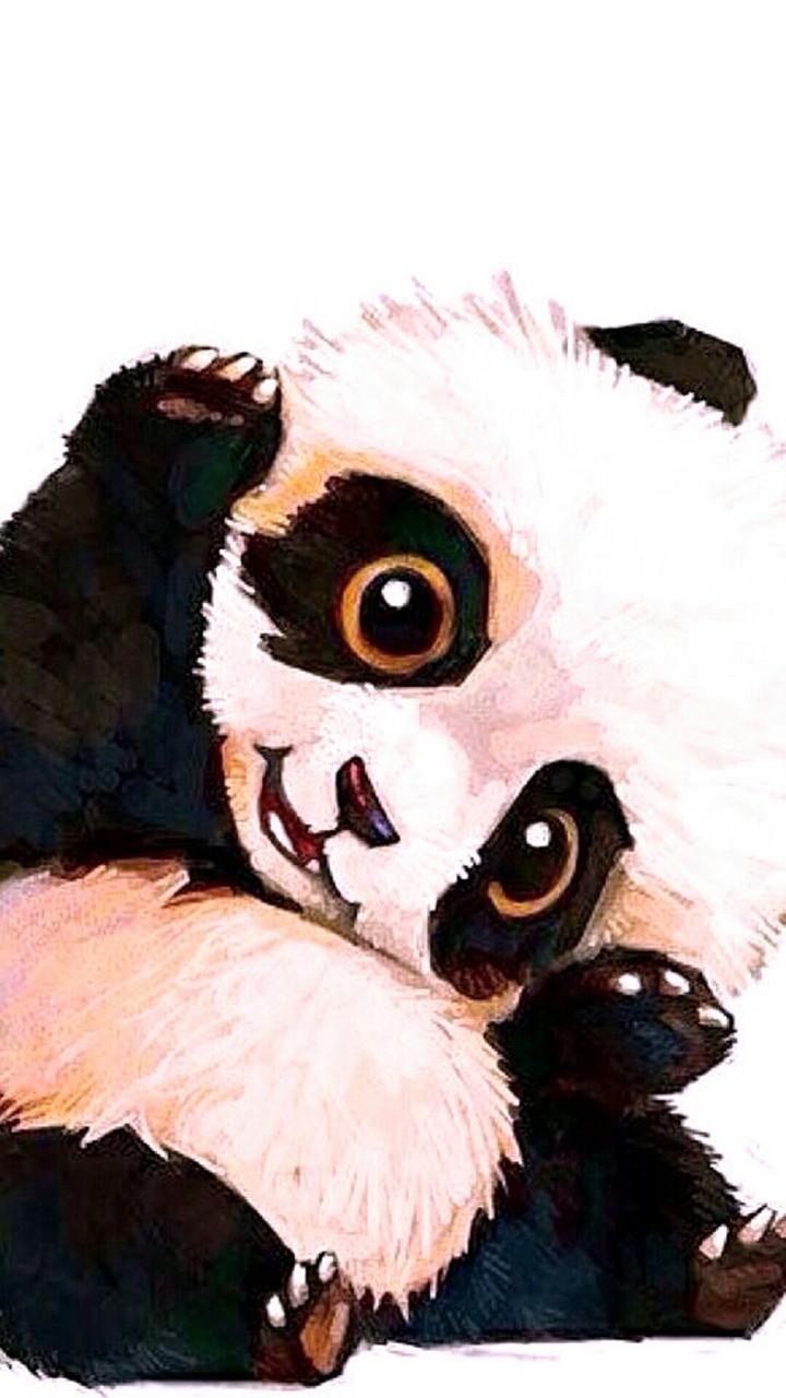 cute panda