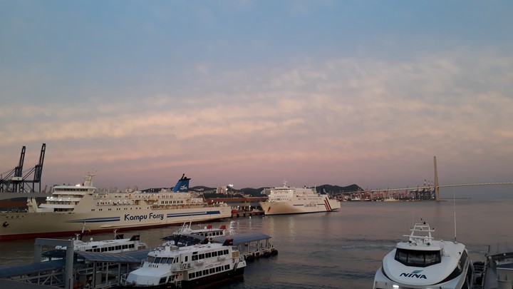 배