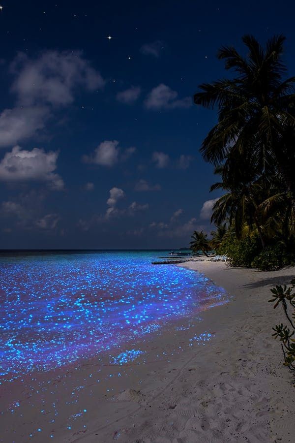 Vadhoo island (Maldive ) !!