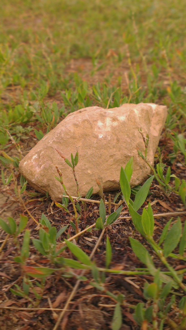 rock