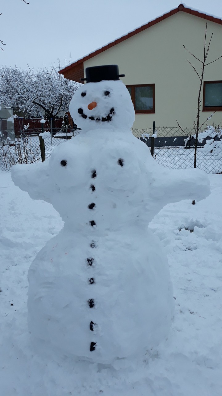 Snow woman