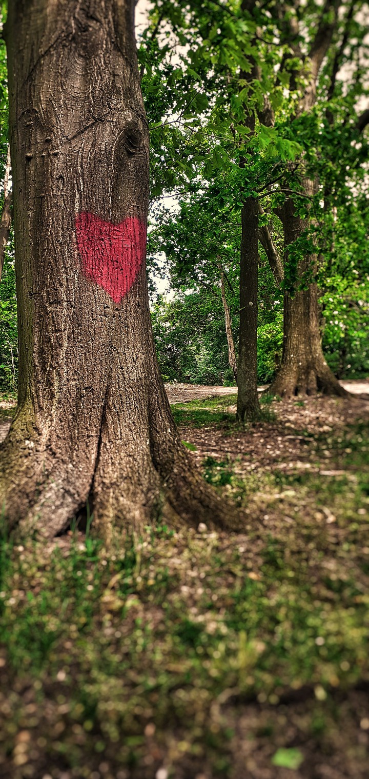 L'amour au détour d'un chemin