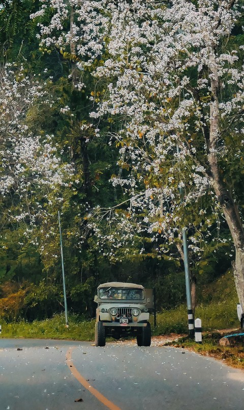 car, vehicle háttérképek