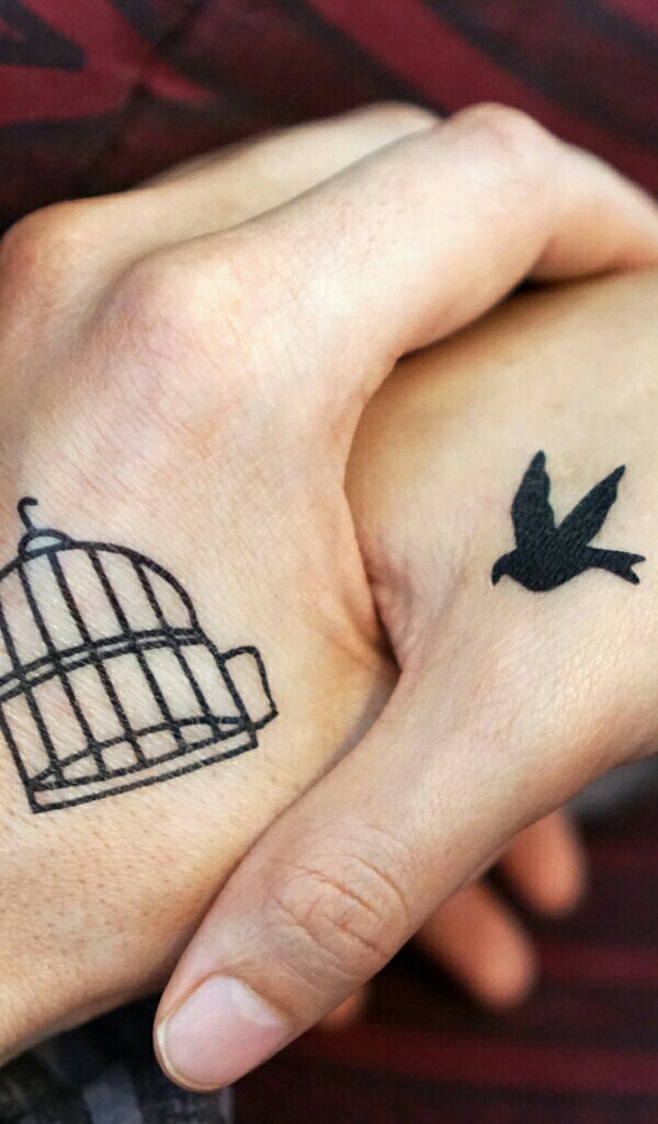 bird without a cage