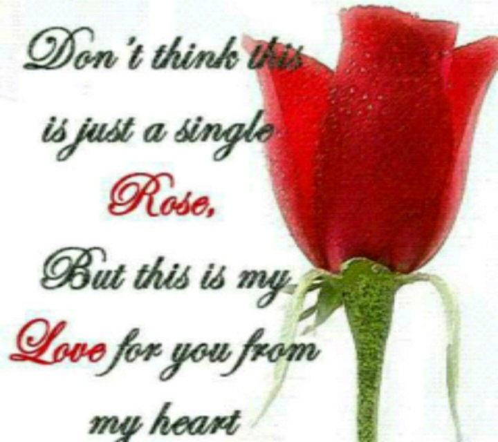love