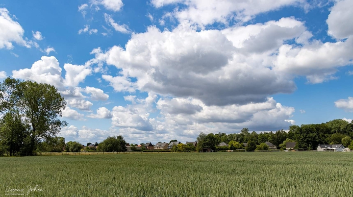 Field