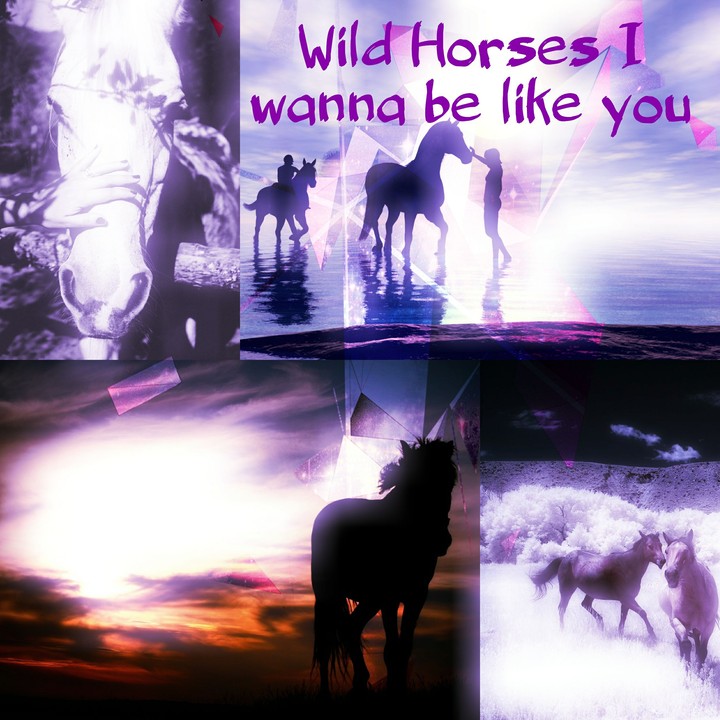 Wild Horses