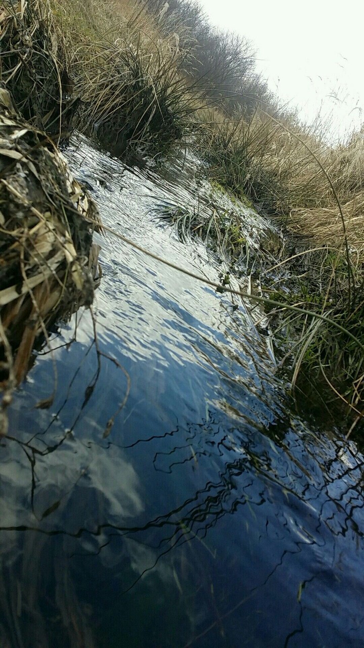 Little river
