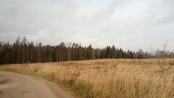 поле