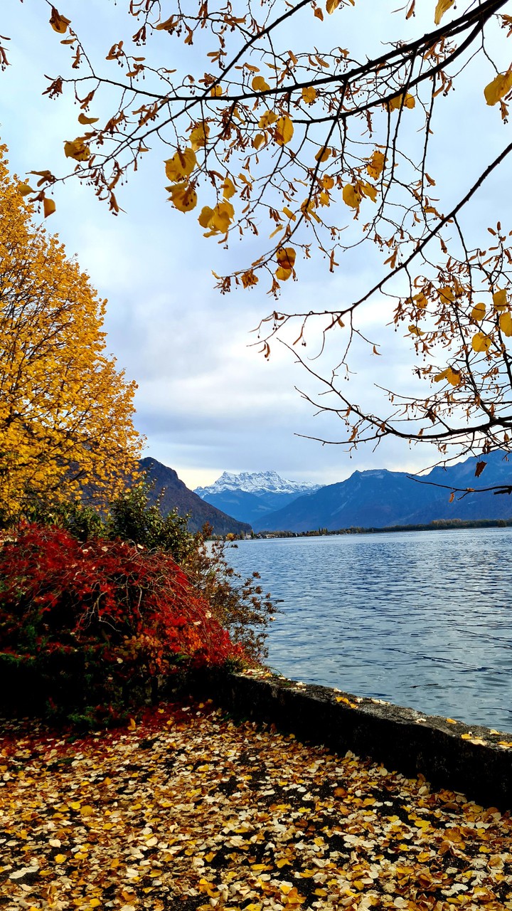 Autumn in Montreux