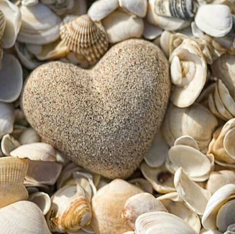 ❤