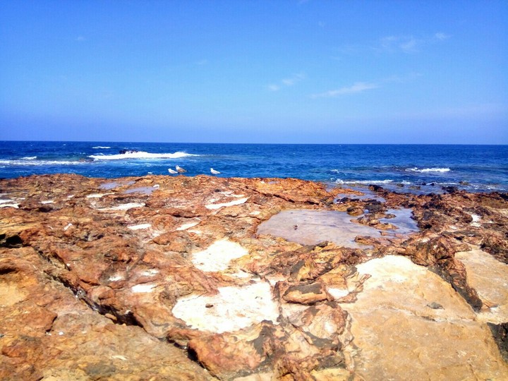 sea