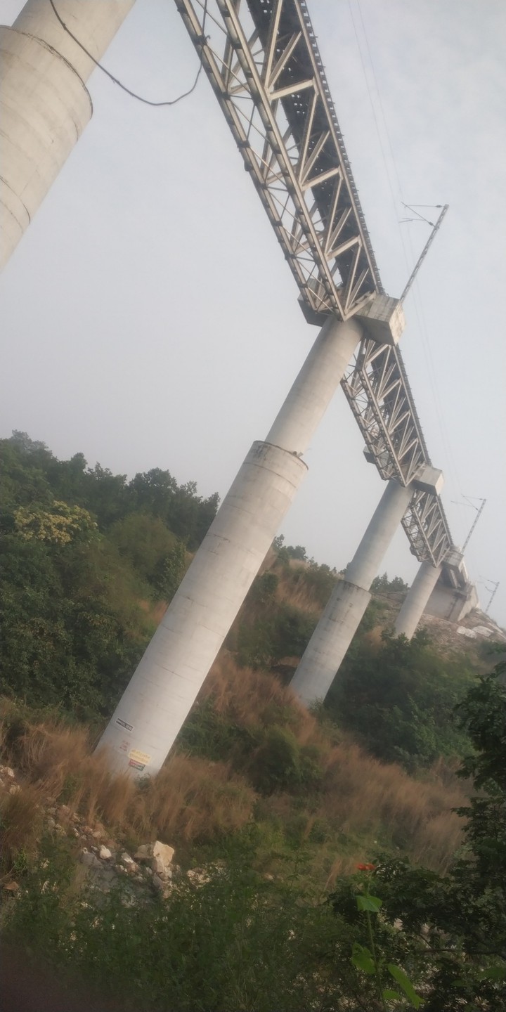 tauhid