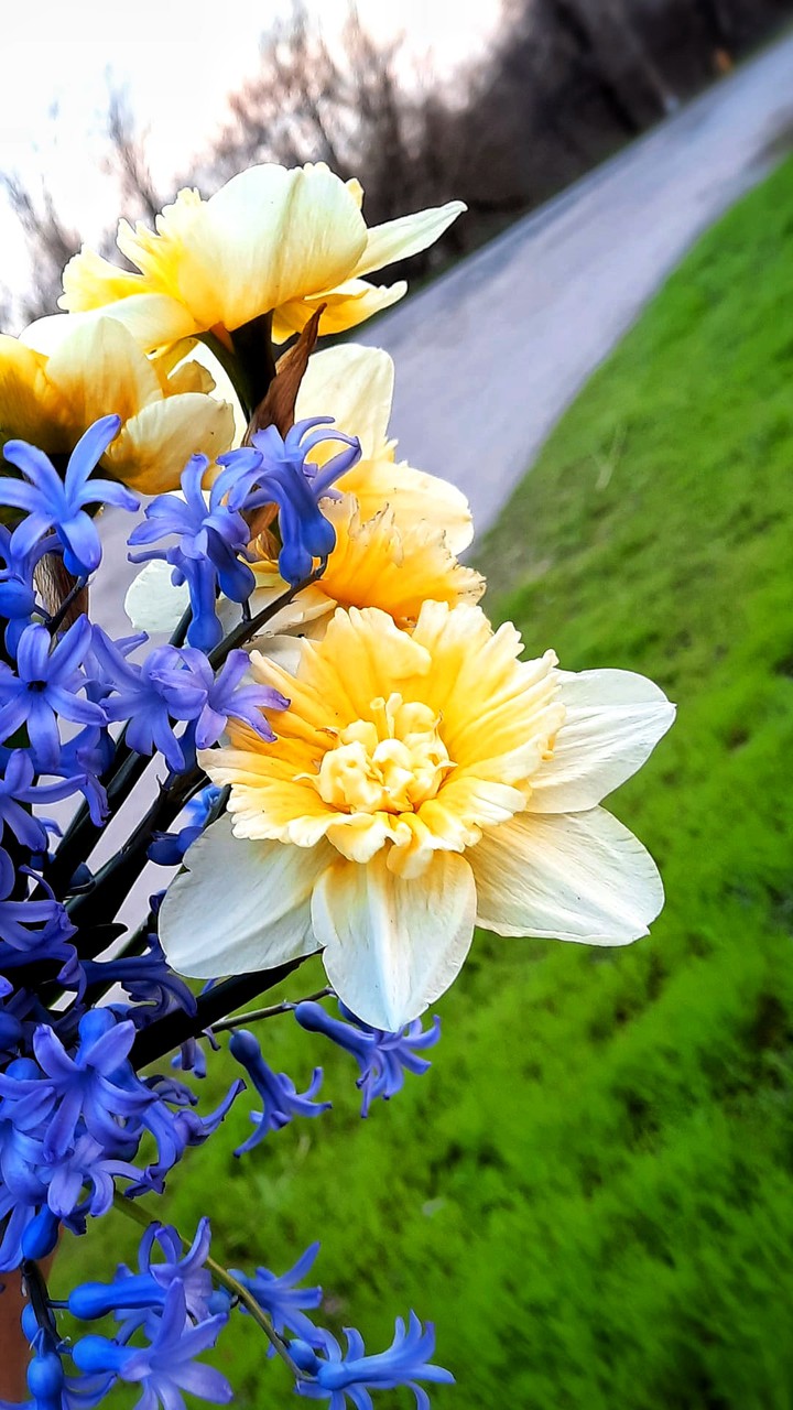 spring bouqet