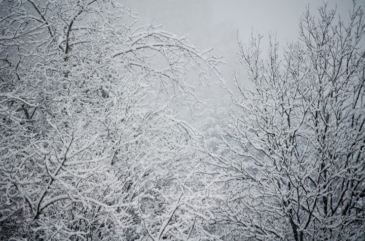 winter 2