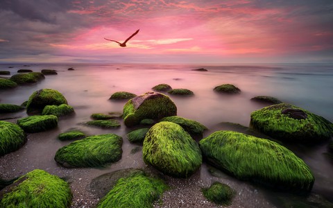 Seascape