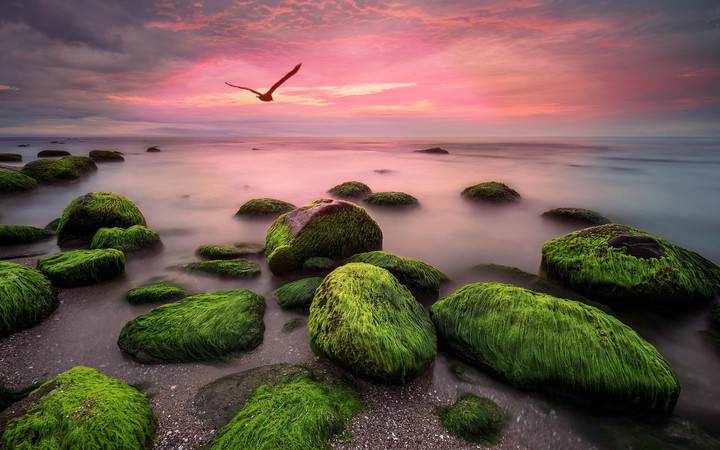 Seascape