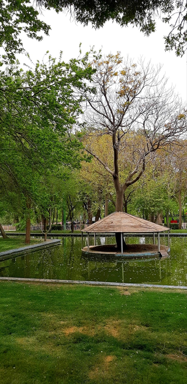 little lake