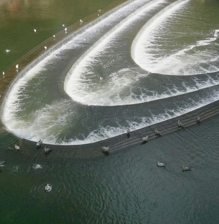 water