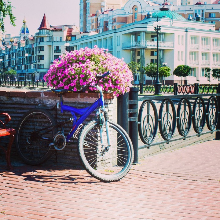 walk, bike, nature, embankment
