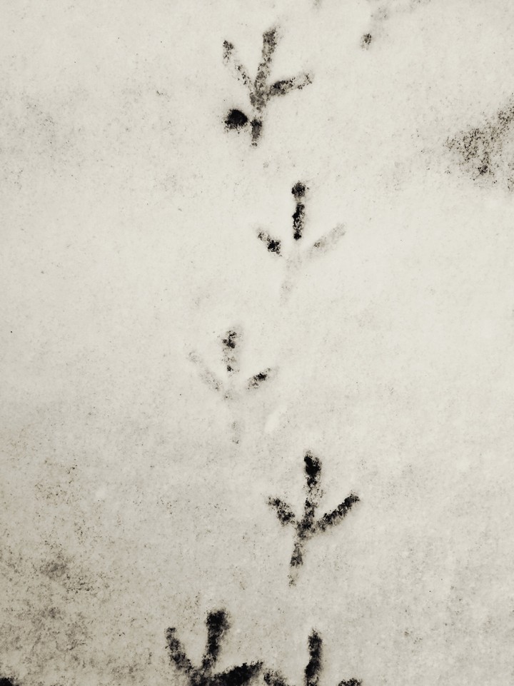 winter