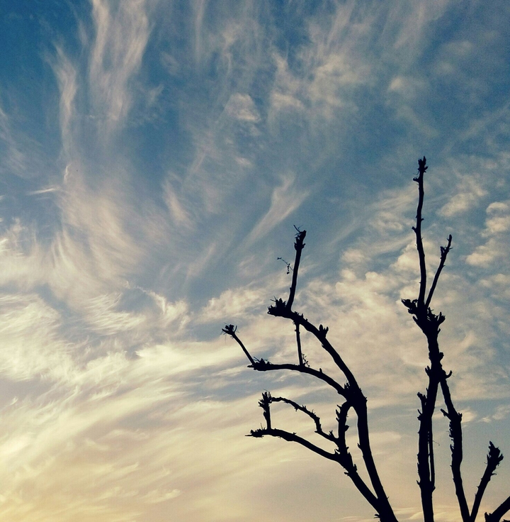 cloud