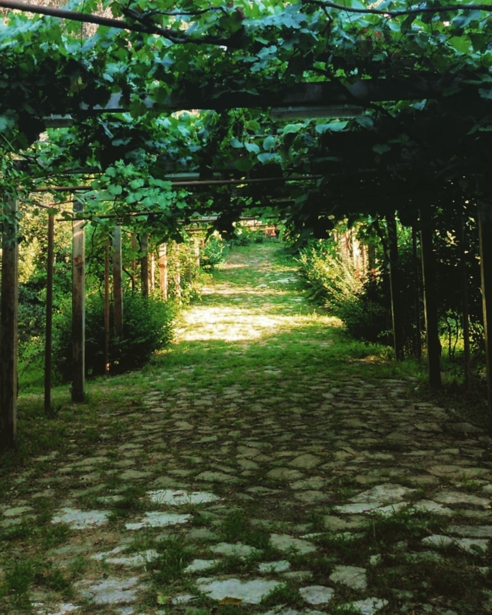 Bukia Garden