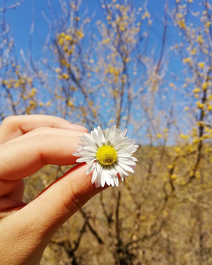 spring ♨