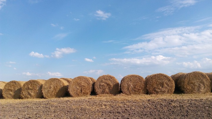 #жнива#літо#тюки
