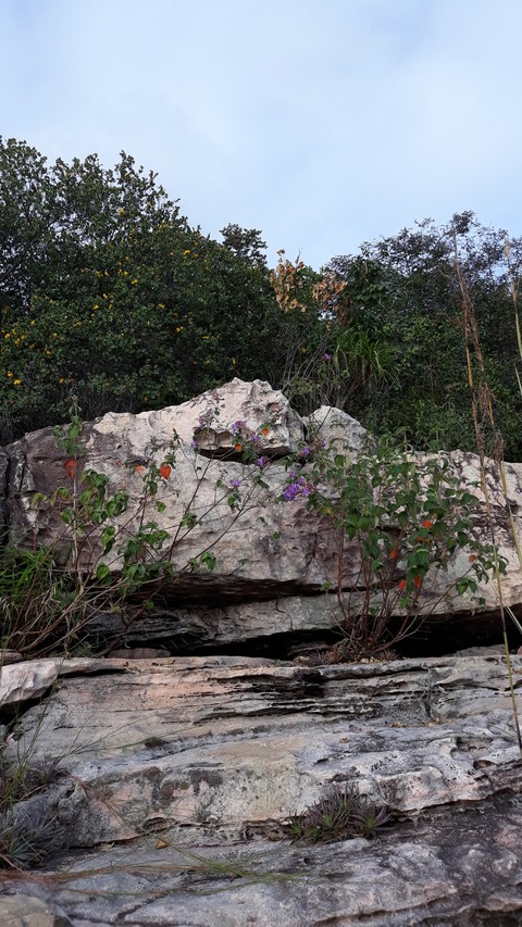 Natureza